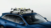 Jaguar Ski and Snowboard Carrier