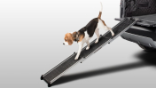 Pet Access Ramp