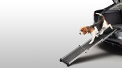 Pet Access Ramp