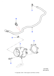 C2Z18677 - Jaguar Feed hose | Jaguar Land Rover Classic Parts