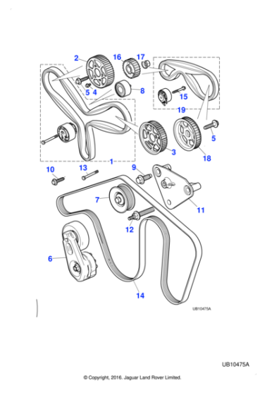 C2C20642 - Jaguar Engine drive belt