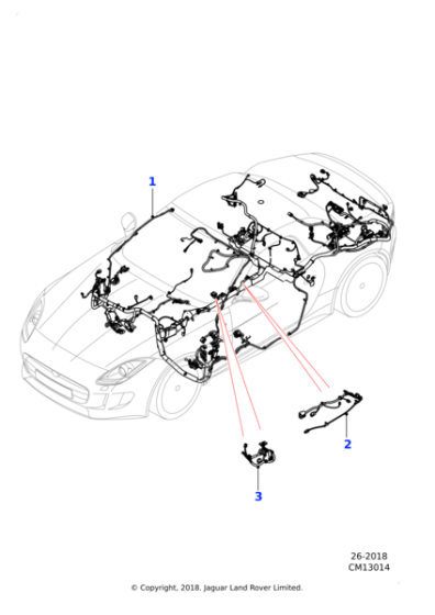 T2R15711 - Jaguar Body harness