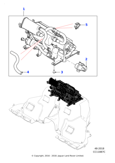 T2R11439 - Jaguar Hose