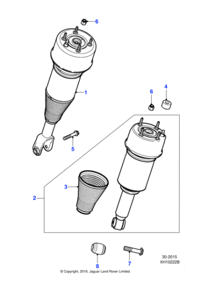 C2C41339 - Jaguar Air spring and damper