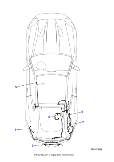 C2P15505 - Jaguar Link lead