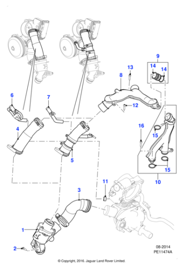 AJ812453 - Jaguar Tube