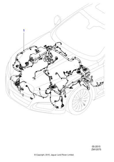 C2Z29745 - Jaguar Harness