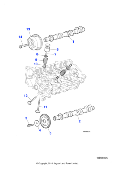 AJ810037 - Jaguar Camshaft sprocket