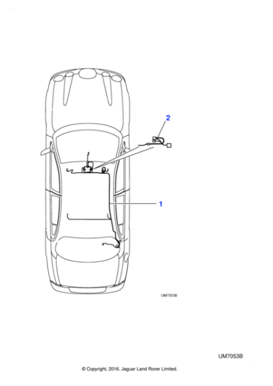 XR842723 - Jaguar Roof harness