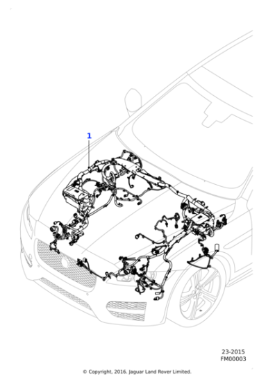 T2H27540 - Jaguar Harness