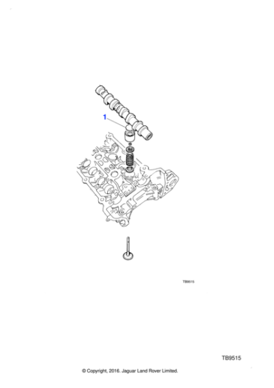 NCE2542BA13 - Jaguar Tappet adjustment shim