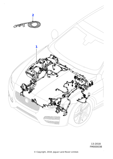 T2H12556 - Jaguar Harness