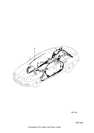 C2D42679 - Jaguar Body harness