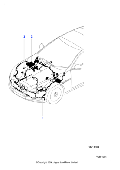 C2D30853 - Jaguar Harness