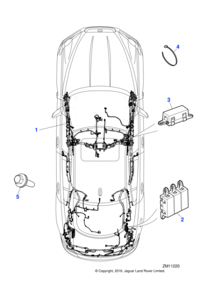 C2Z23744 - Jaguar Body harness