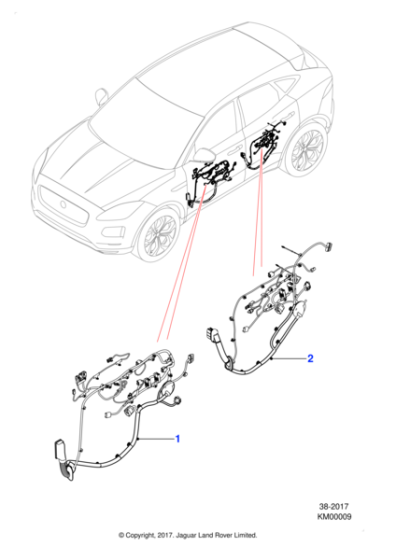 J9C21723 - Jaguar Door harness