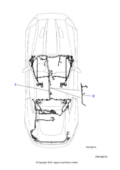 C2P13723 - Jaguar Body harness