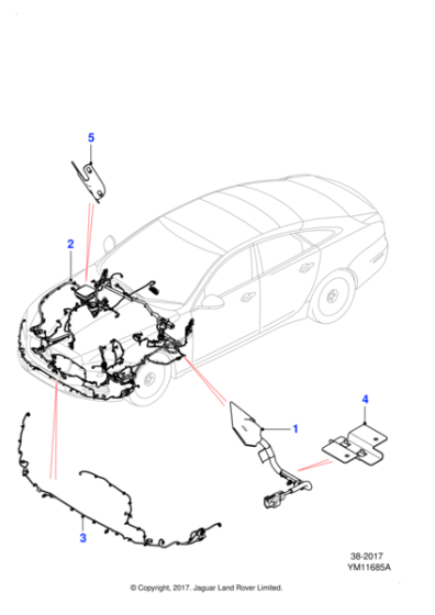 C2D55940 - Jaguar Harness