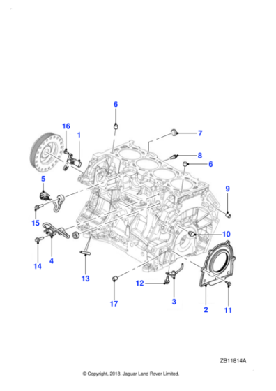 XR851775 - Jaguar Stud