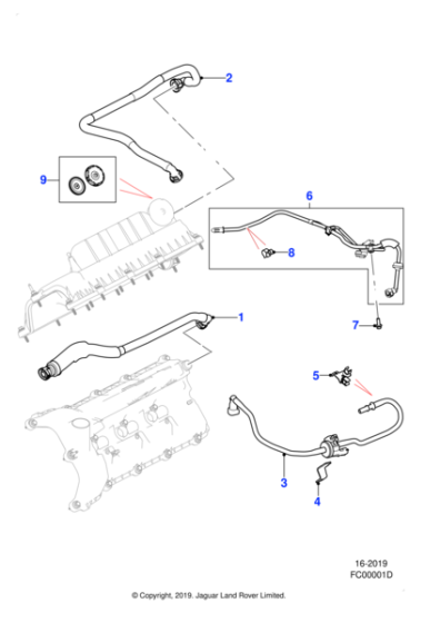 C2Z17674 - Jaguar Hose - Vacuum