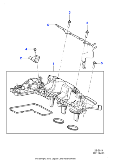 C2S36013 - Jaguar Screw