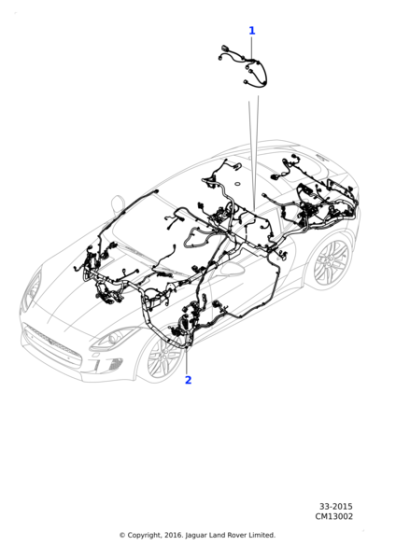 T2R11692 - Jaguar Body harness