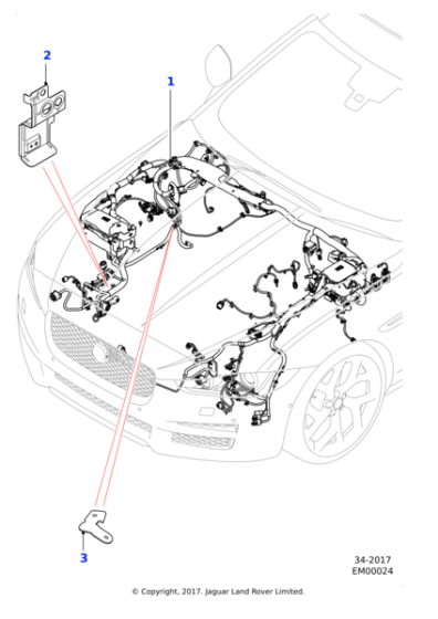 T2H29594 - Jaguar Harness