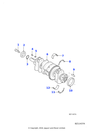 C2S52170