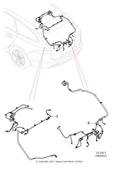 T2H31279 - Jaguar Harness