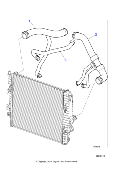 XR841648 - Jaguar Water hose