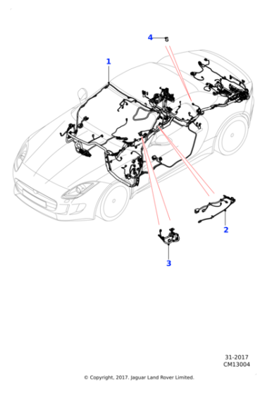 T2R26243 - Jaguar Body harness