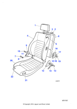 BDC9749AY - Jaguar Squab