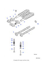 C2S41434 - Jaguar Spring