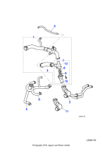 XR849445 - Jaguar Radiator top hose