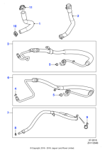 C2Z30503 - Jaguar Power steering hose