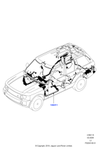 LR012319 - Land Rover Wire