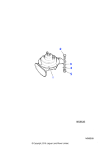 DAC4537 - Jaguar Horn