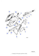 C209524 - Jaguar Bush