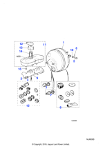 AAU6841J - Jaguar Nut