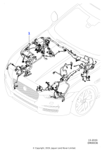 T4N29618 - Jaguar Harness