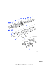 C2170 - Jaguar Timing chain sprocket