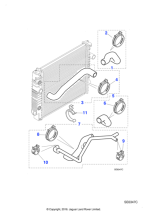 MNC4519AE - Jaguar Bottom hose