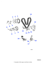 C2256 - Jaguar Timing chain