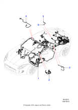 T2R51031 - Jaguar Body harness