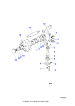 252165A - Jaguar Locknut