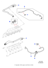 AJ813948 - Jaguar Hose - Vacuum