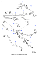 C2D6361 - Jaguar Hose