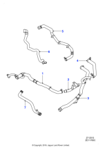 C2Z14277 - Jaguar Radiator bottom hose