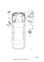 XR855524 - Jaguar Harness