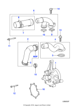 XR831675 - Jaguar Outlet hose